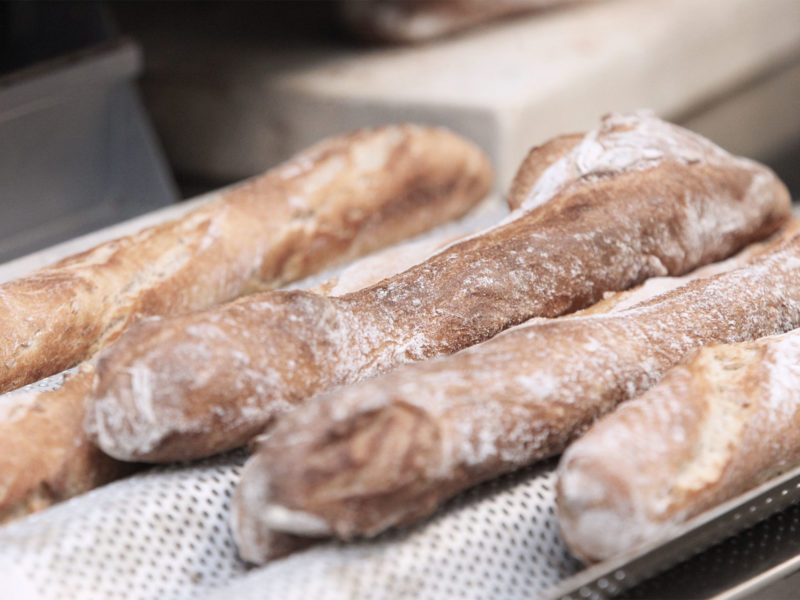 Salmon: Restaurant WordPress Theme