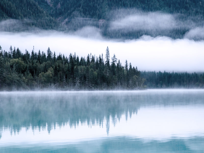 Salmon: Restaurant WordPress Theme